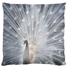 White Feathers, Animal, Bird, Feather, Peacock Large Cushion Case (one Side)