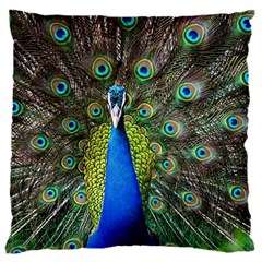Peacock Bird Feathers Pheasant Nature Animal Texture Pattern 16  Baby Flannel Cushion Case (two Sides)