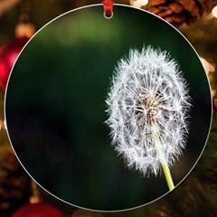 White Flower Uv Print Acrylic Ornament Round