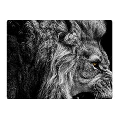 Angry Male Lion Wild Animal Two Sides Premium Plush Fleece Blanket (mini)