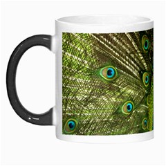 Peacock Feathers Bird Plumage Morph Mug