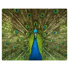 Peacock Feathers Bird Plumage Two Sides Premium Plush Fleece Blanket (teen Size)