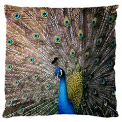 Peacock Bird Animal Peafowl 16  Baby Flannel Cushion Case (two Sides)