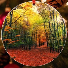 Forest Woods Autumn Nature Uv Print Acrylic Ornament Round