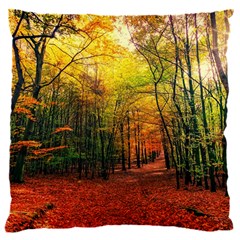 Forest Woods Autumn Nature 16  Baby Flannel Cushion Case (two Sides)