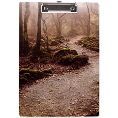 Path Trees Forest Fantasy A4 Acrylic Clipboard